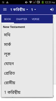 Bengali Audio Bible (বাঙালি অড android App screenshot 2